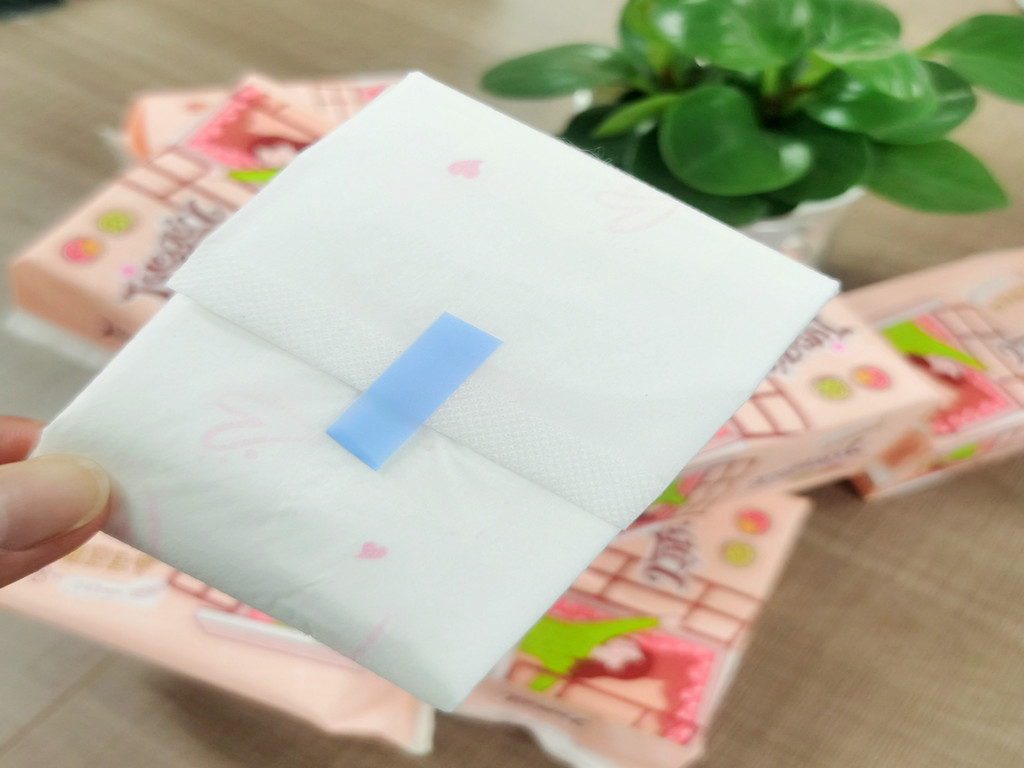 Disposable Hygienic Products